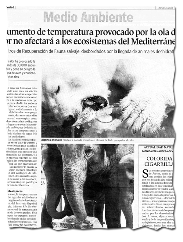 Fuente: ABC 18/08/2003