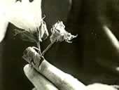 El nacimiento de una naci&oacute;n.