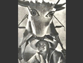 &iexcl;Qu&eacute; viva Mexico!