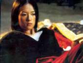 Tigre y Drag&oacute;n