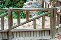 Jos� Antonio Mora (8)