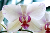 Jos� Antonio Mora (9)