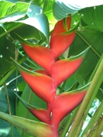 Jos� Antonio Mora (10)