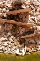 Jos� Antonio Mora (12)