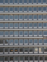 Rub�n Su�rez (13)