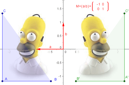 Construcci�n: Vectores y matrices