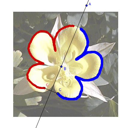 Construcci�n: Simetr�a axial