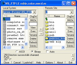 WS_FTP, otro programa para subir archivos.