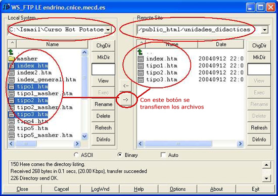 Subiendo los archivos