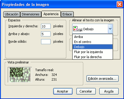 Pesta&ntilde;a de propiedades de imagen