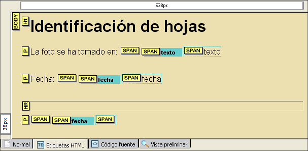 Apariencia de la plantilla que se est&aacute; elaborando
