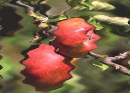 Distorsionar Ondular