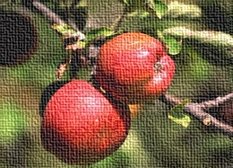 Artísticos Aplicar lienzo